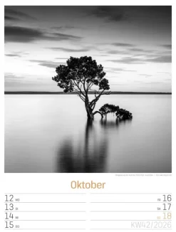 Ackermann Kunstverlag Wochenkalender*Silent Nature Wochenplaner Kalender 2026