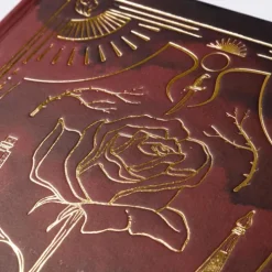 Six Scorched Roses (Crowns of Nyaxia)*Carlsen Verlag GmbH Best