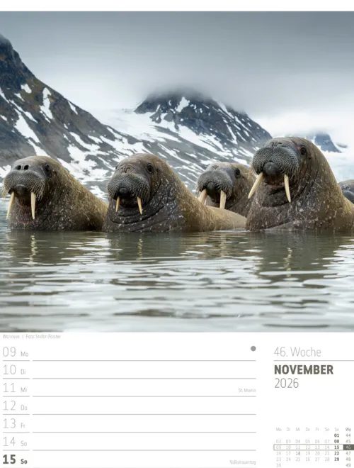 Ackermann Kunstverlag Wochenkalender-Skandinavien Wochenplaner Kalender 2026 | Der Zauber des hohen Nordens