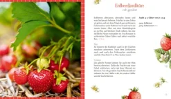 Coppenrath Kochbücher Nach Zubereitung-Sonne im Glas