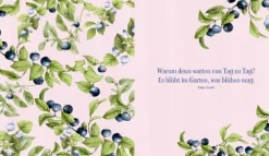 Coppenrath Kochbücher Nach Zubereitung-Sonne im Glas