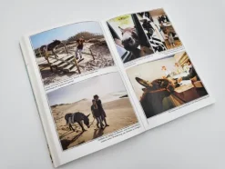 Malik Verlag Wandern|Reiseberichte*Sonne, Meer und lange Ohren