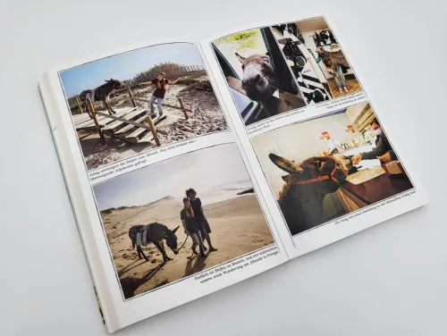 Malik Verlag Wandern|Reiseberichte*Sonne, Meer und lange Ohren