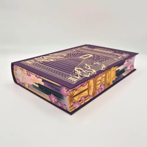 FISCHER Sauerländer Young Adult|Liebesromane*Spiel des Lügners