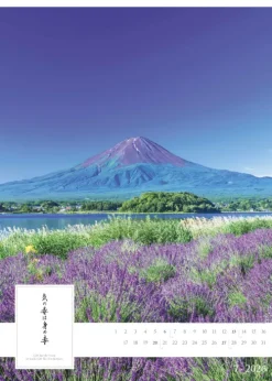 Spirit of Japan 2026 - Bildkalender XXL 50x70 cm - mit japanischer Kalligraphie, inkl. Übersetzung - Landschaftskalender - Wandkalender - Wandplaner*Neumann Verlage GmbH & Co Clearance