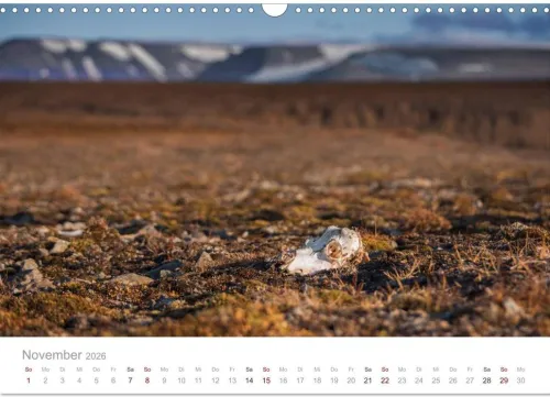 Calvendo Wandkalender*Spitzbergen - Wild.Rau.Ungezähmt. (Wandkalender 2026 DIN A3 quer), Monatskalender