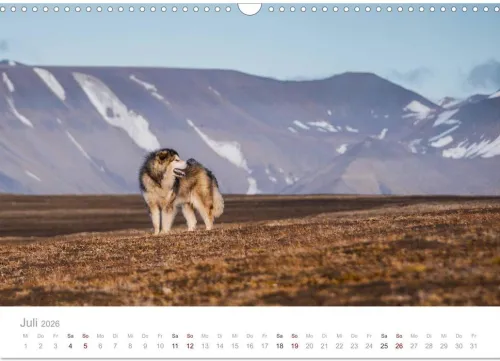 Calvendo Wandkalender*Spitzbergen - Wild.Rau.Ungezähmt. (Wandkalender 2026 DIN A3 quer), Monatskalender