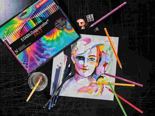 STABILO Buntstifte-Buntstift Aquarell-Buntstift aquacolor - ARTY, 12er Metalletui