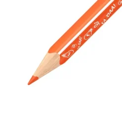 Buntstift Dreikant Trio dick kurz Animal Vibes, 12er Set*STABILO Hot