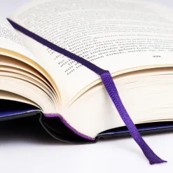 Carlsen Verlag GmbH Fantasy-Stadt der Magier und Diebe (Stadt der Magier 1)