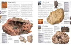 Dorling Kindersley Verlag Geowissenschaft-Steine & Mineralien