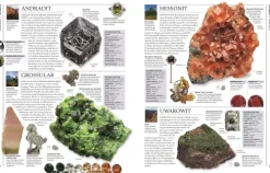 Dorling Kindersley Verlag Geowissenschaft-Steine & Mineralien
