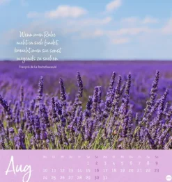 Heye Postkartenkalender*Stille Momente Postkartenkalender 2026