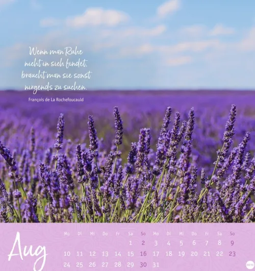 Heye Postkartenkalender*Stille Momente Postkartenkalender 2026