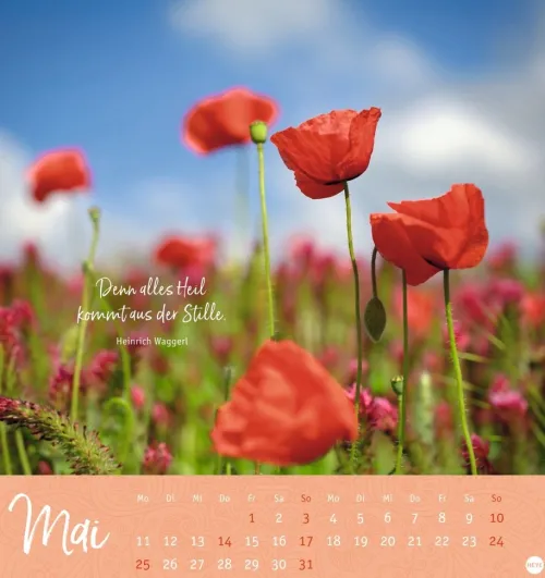 Heye Postkartenkalender*Stille Momente Postkartenkalender 2026