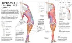 Dorling Kindersley Verlag Gesundheit-Stretching - Die Anatomie verstehen