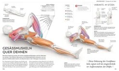 Dorling Kindersley Verlag Gesundheit-Stretching - Die Anatomie verstehen