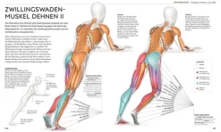 Dorling Kindersley Verlag Gesundheit-Stretching - Die Anatomie verstehen