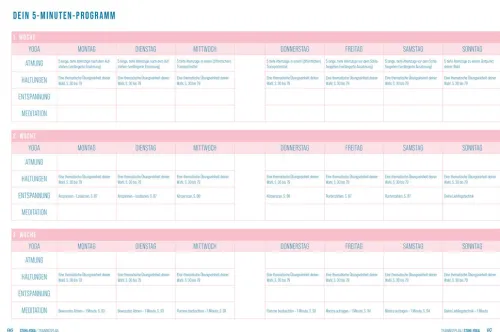 Suedwest Verlag Self Care*Stuhl-Yoga