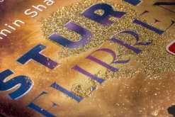 cbj Lgbtqia+ Jugendbücher-Sturmflirren