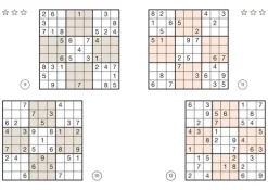 Naumann & Göbel Verlagsg. Nachhaltigkeit-Sudoku Buch