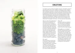 Super Smoothies - Die besten Detox-Drinks*Dorling Kindersley Verlag Clearance