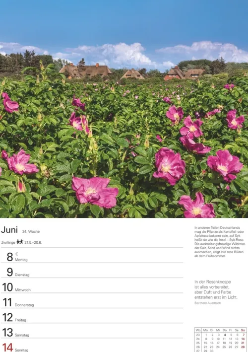 Harenberg Wochenkalender|Terminkalender-Sylt Wochenplaner 2026 - Eine Reise in 53 Bildern