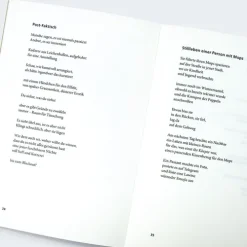 Tagebuch einer Invasion*Carl Hanser Verlag Best