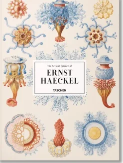 Taschen GmbH Künstler:Innen Im Fokus*The Art and Science of Ernst Haeckel