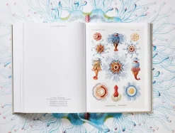 Taschen GmbH Künstler:Innen Im Fokus*The Art and Science of Ernst Haeckel