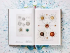 Taschen GmbH Künstler:Innen Im Fokus*The Art and Science of Ernst Haeckel