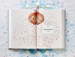 Taschen GmbH Künstler:Innen Im Fokus*The Art and Science of Ernst Haeckel
