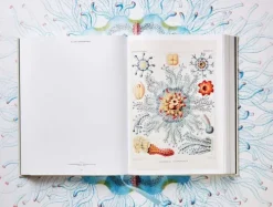 Taschen GmbH Künstler:Innen Im Fokus*The Art and Science of Ernst Haeckel