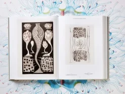 Taschen GmbH Künstler:Innen Im Fokus*The Art and Science of Ernst Haeckel