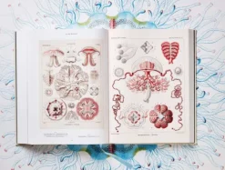 Taschen GmbH Künstler:Innen Im Fokus*The Art and Science of Ernst Haeckel