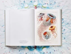 Taschen GmbH Künstler:Innen Im Fokus*The Art and Science of Ernst Haeckel