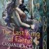 Random House Children's Books Jugendbücher*The Last King of Faerie
