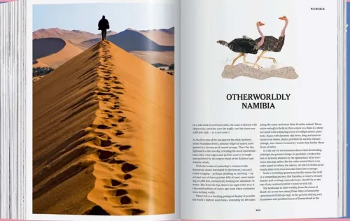 Taschen Verlag Reisen, Orte & Menschen*The New York Times Explorer. 100 Dream Trips Around the World From the Algarve to Xian