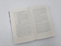 Piper Verlag GmbH Sports Romance-The Play - Spiel mit dem Feuer