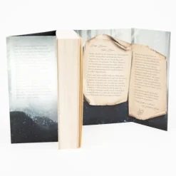 The Witch Collector*reverie Best