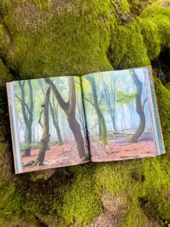 Naumann & Göbel Verlagsg. Reisen, Orte & Menschen-THE WOODS