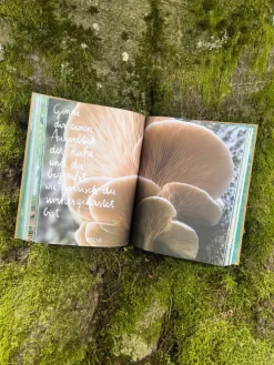 Naumann & Göbel Verlagsg. Reisen, Orte & Menschen-THE WOODS