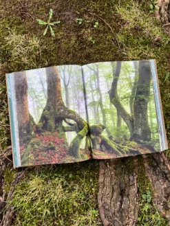 Naumann & Göbel Verlagsg. Reisen, Orte & Menschen-THE WOODS