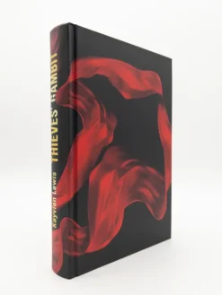 dtv Verlagsgesellschaft Lgbtqia+ Jugendbücher*Thieves' Gambit