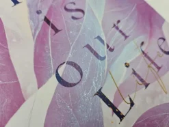 Piper Verlag GmbH Die Reichen, Berühmten Und Mächtigen-This is Our Life