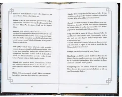 Bramble Hardcover Diversity|Chinesischer Manga - Manhua*Thousand Autumns. Buch 2