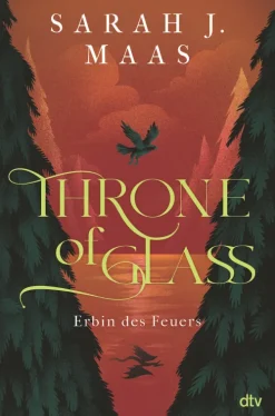 Throne of Glass - Erbin des Feuers*dtv Verlagsgesellschaft Sale