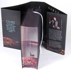 dtv Verlagsgesellschaft Young Adult|Liebesromane-Throne of Glass - Herrscherin über Asche und Zorn