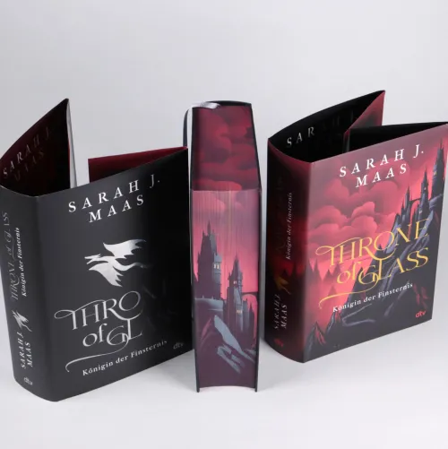 dtv Verlagsgesellschaft Young Adult|Liebesromane*Throne of Glass - Königin der Finsternis