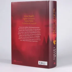 dtv Verlagsgesellschaft Young Adult|Liebesromane*Throne of Glass - Königin der Finsternis